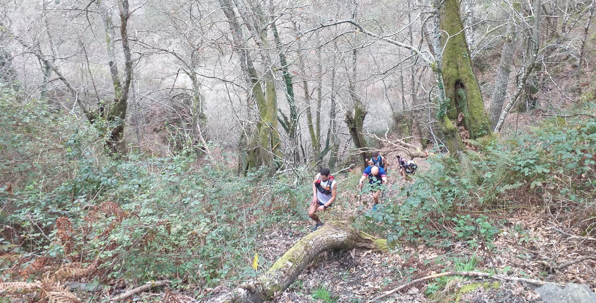 A FGA organiza unha xornada técnica de Trail Running