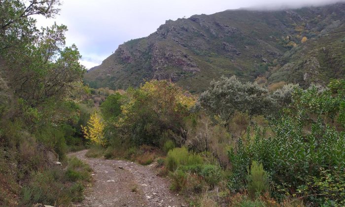 O Trail Running galego cítase na Serra do Courel