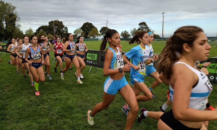 A Rúa abre o ano ca gran cita galega do campo a través