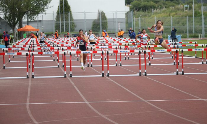 Sesión de portas abertas na concentración de valos deste domingo en Lalín