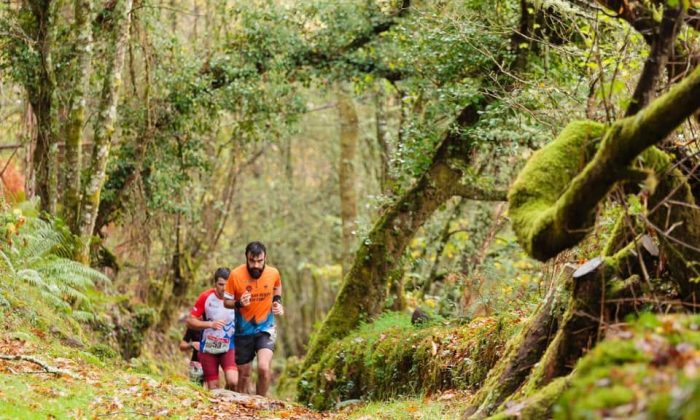 Consellos básicos para o inicio no Trail running